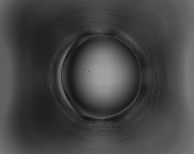 X0000100390738200806061254