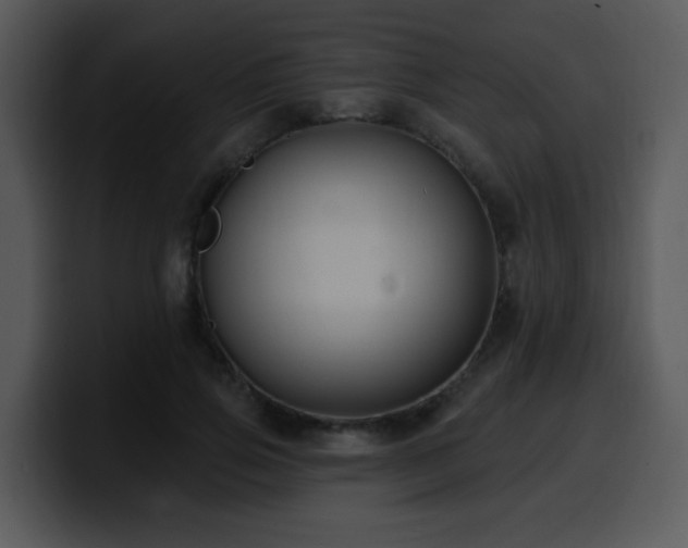 X0000100390741200806061254