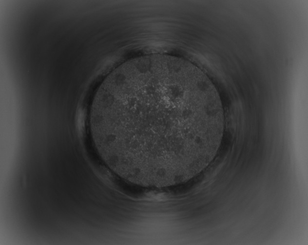 X0000100390742200806061254