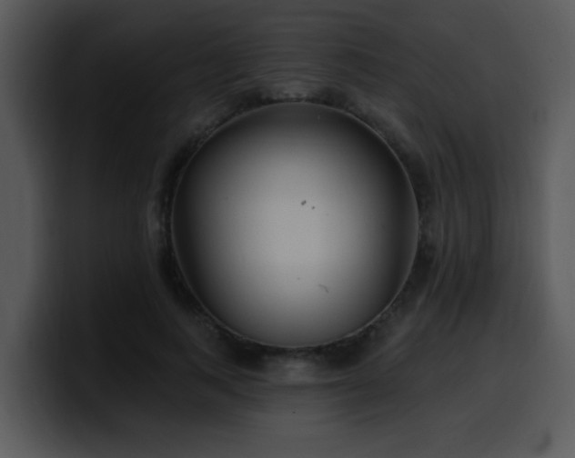 X0000100390743200806061254