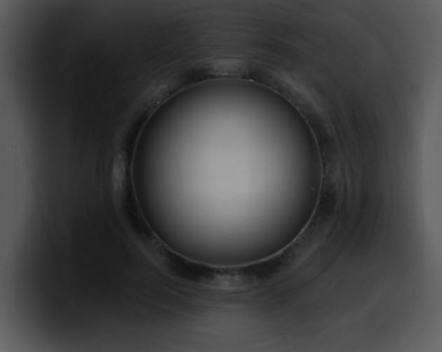 X0000100390744200806061254