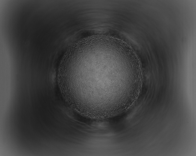 X0000100390745200806061254