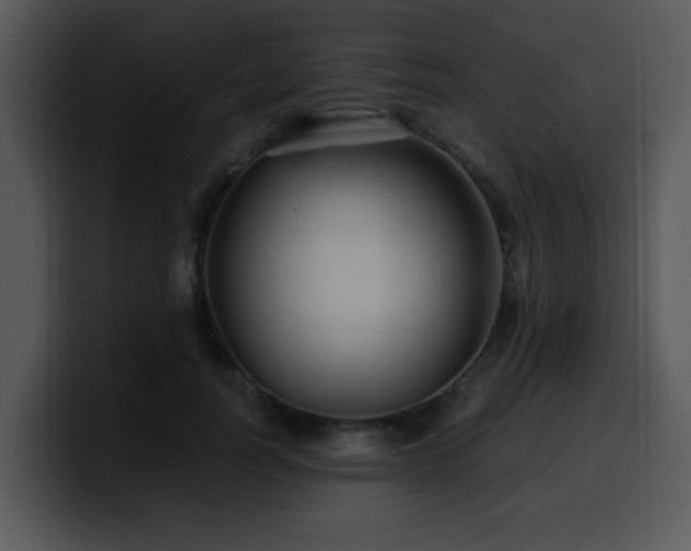X0000100390746200806061254