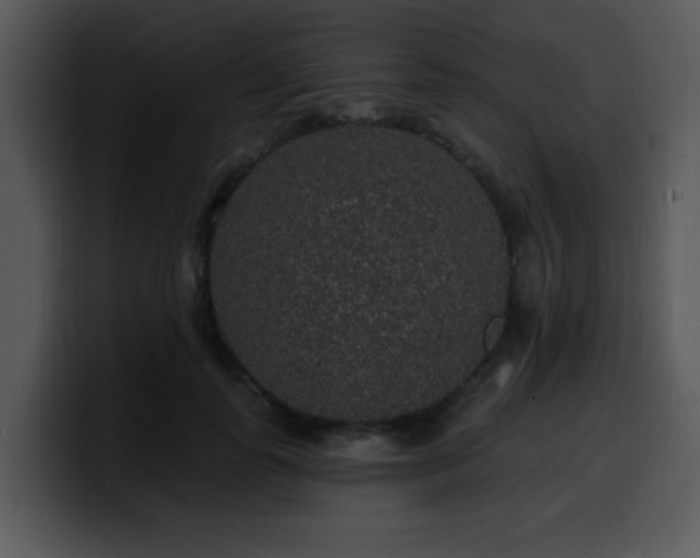 X0000100390747200806061254