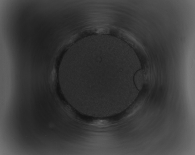 X0000100390748200806061254