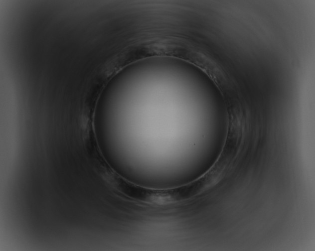 X0000100390749200806061254