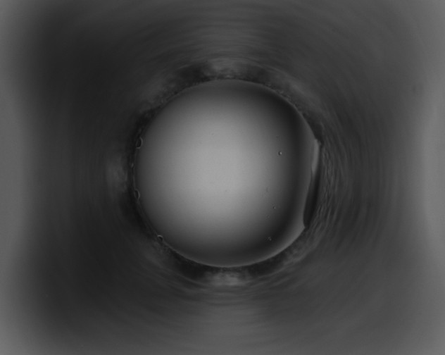 X0000100390751200806061254