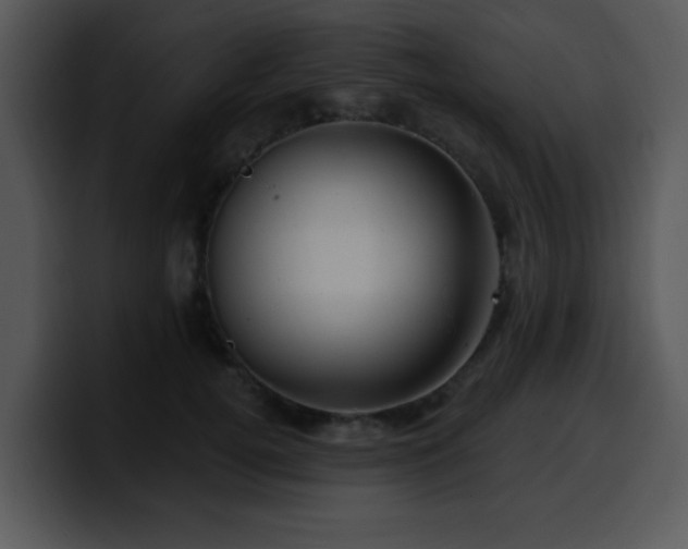 X0000100390752200806061254