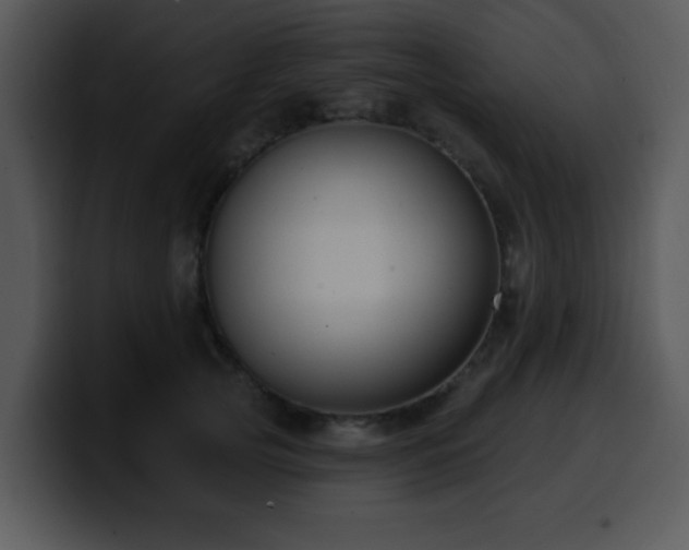 X0000100390753200806061254