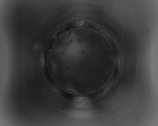 X0000100390754200806061254