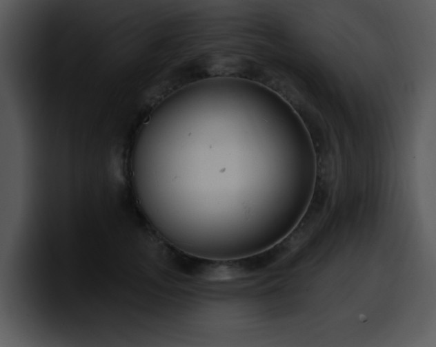 X0000100390755200806061254