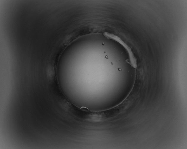 X0000100390756200806061254