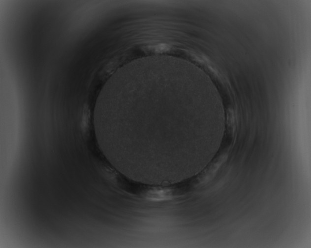 X0000100390760200806061254