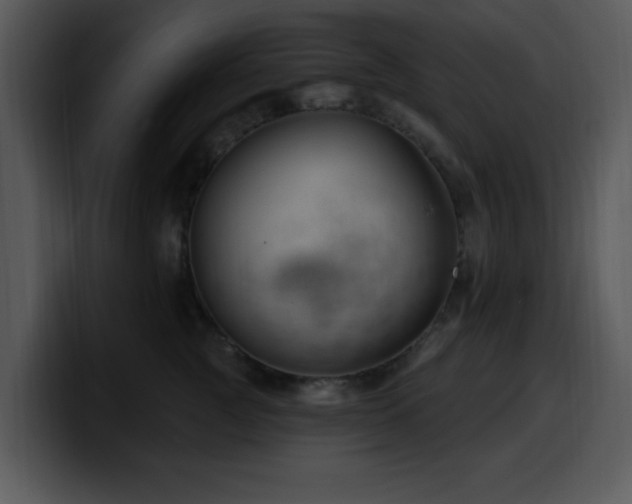X0000100390761200806061254
