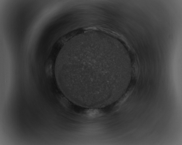 X0000100390762200806061254