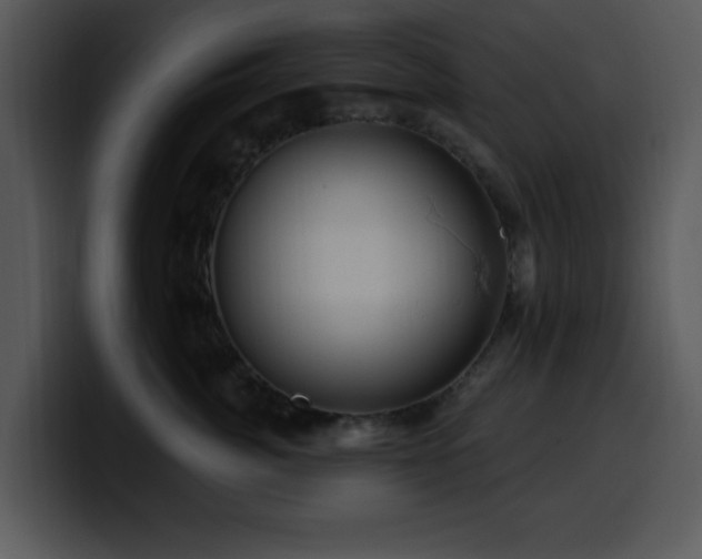 X0000100390764200806061254