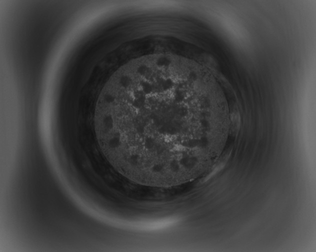 X0000100390765200806061254