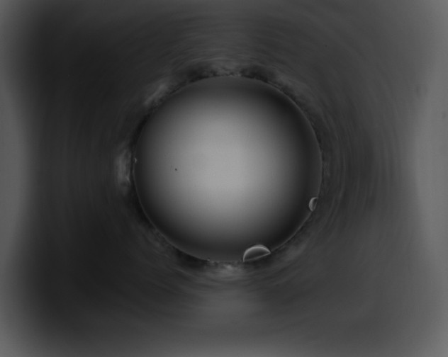 X0000100390768200806061254