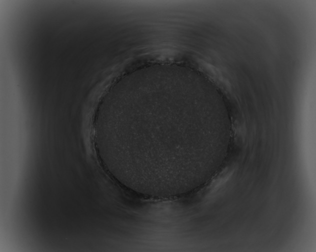 X0000100390769200806061253