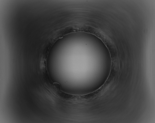 X0000100390770200806061253