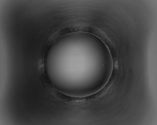 X0000100390771200806061253