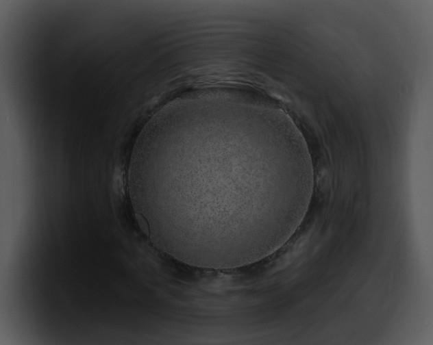X0000100390772200806061253