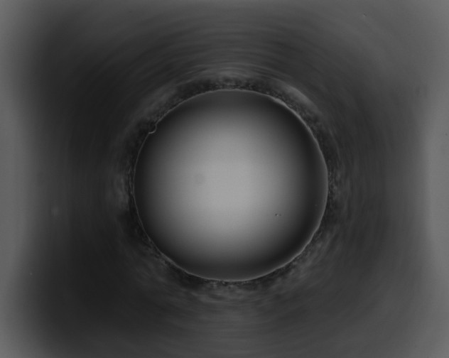X0000100390774200806061253