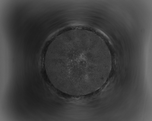 X0000100390775200806061253