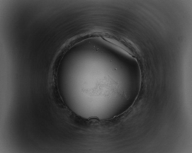 X0000100390776200806061253