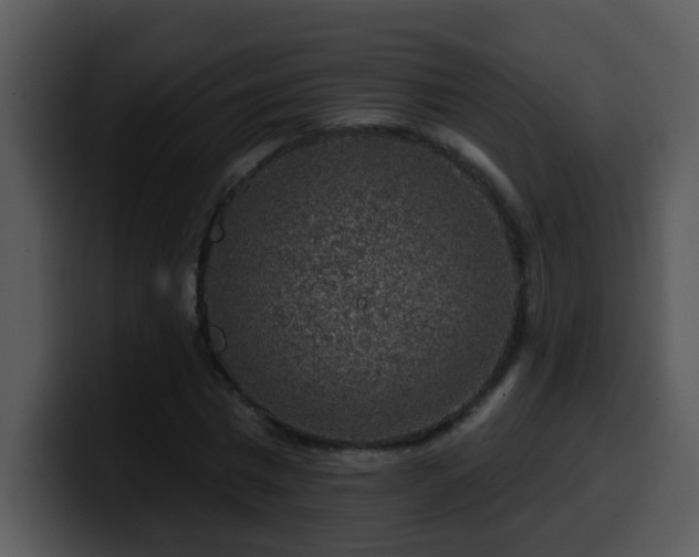 X0000100390777200806061253