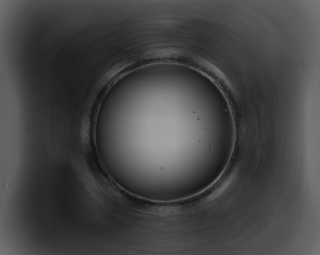 X0000100390778200806061253