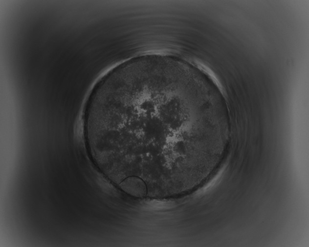 X0000100390779200806061253