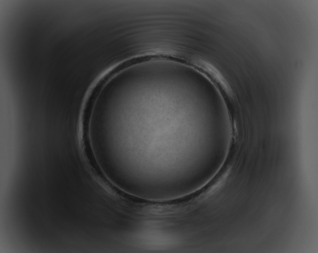 X0000100390780200806061253