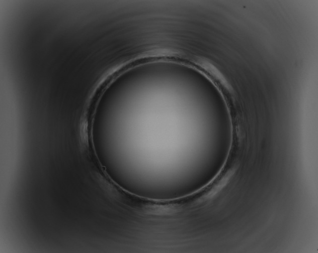 X0000100390781200806061253