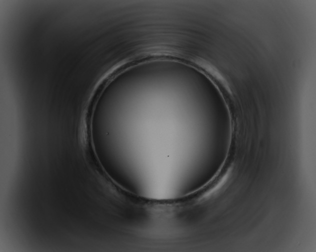 X0000100390782200806061253