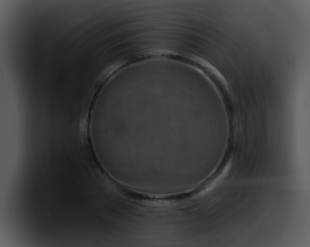 X0000100390785200806061253