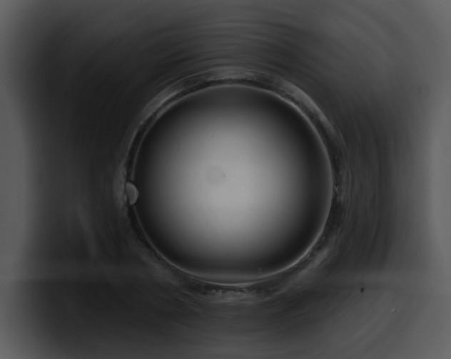 X0000100390786200806061253