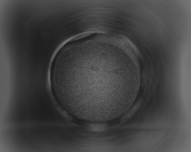 X0000100390788200806061253