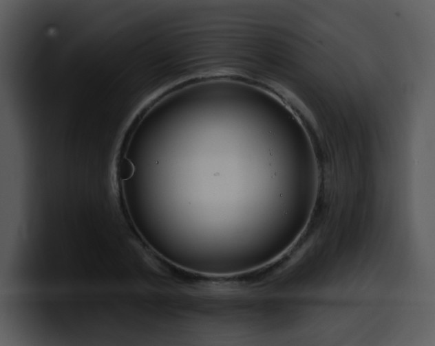 X0000100390789200806061253