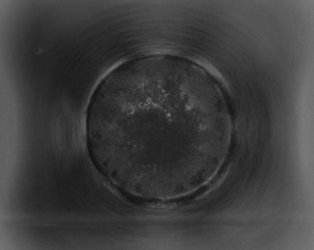 X0000100390790200806061253
