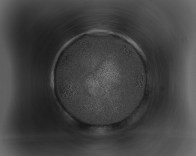 X0000100390791200806061253