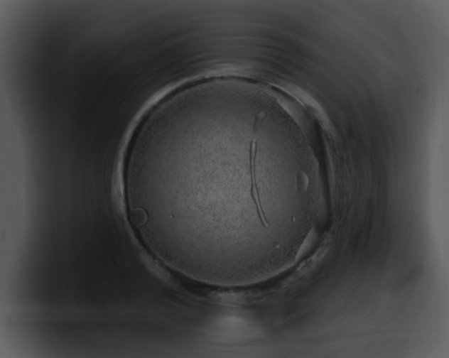 X0000100390792200806061253