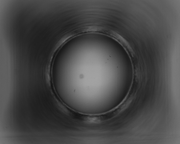 X0000100390794200806061253