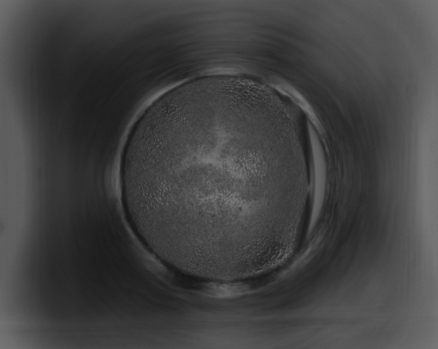 X0000100390795200806061253