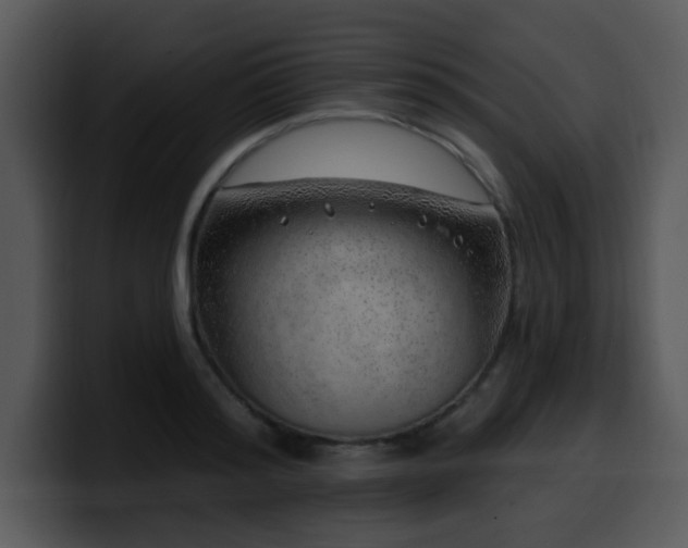 X0000100390796200806061253