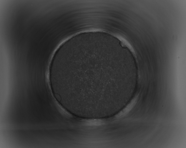 X0000100390797200806061253