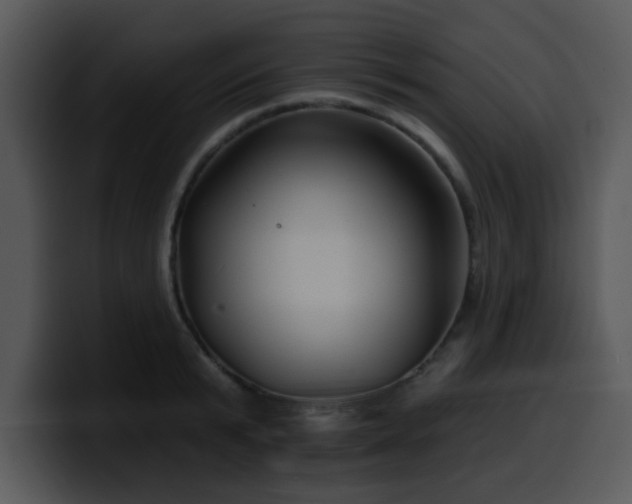 X0000100390799200806061253