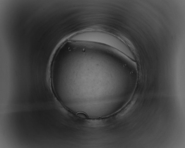X0000100390800200806061253