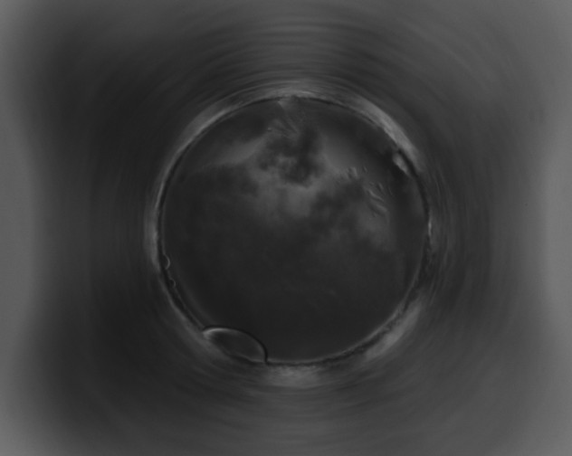 X0000100390802200806061253