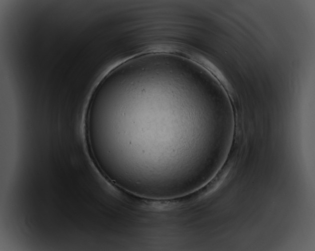 X0000100390803200806061253